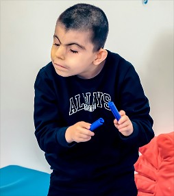 Family Training & Support tool